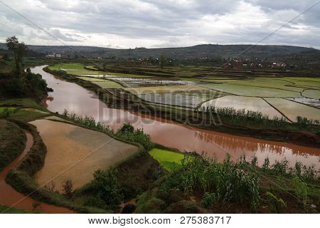 Landscape With The Rice Fields And Onive River At Antanifotsy In Madagascar