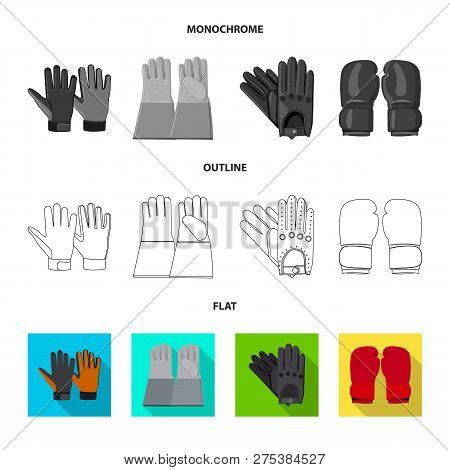 Vector Illustration Of Glove And Winter Symbol. Collection Of Glove And Equipment Vector Icon For St