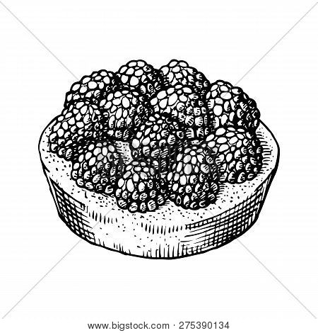 Delicious Hand Drawn Tart With Raspberries. Engraving Style Pen Pencil Painting Retro Vintage Vector