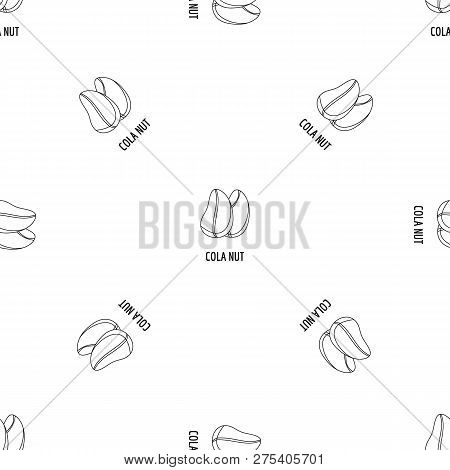 Cola Nut Icon. Outline Illustration Of Cola Nut Vector Icon For Web Design Isolated On White Backgro