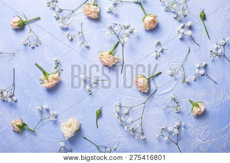 Pattern From Fresh White Gypsofila And Rose Flowers On Blue Textured Background. Top View. Selective