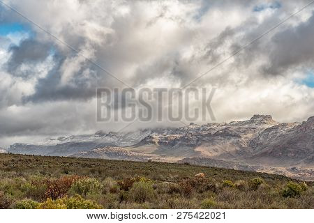 A Fynbos And Mountain Landscape As Seen From The Kromrivier Pass In The Cederberg Mountains Of The W