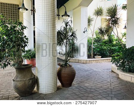Residential Buildings And Surrounded With Green Plants With Ceramic Jugs  In  Rishon Le Zion..