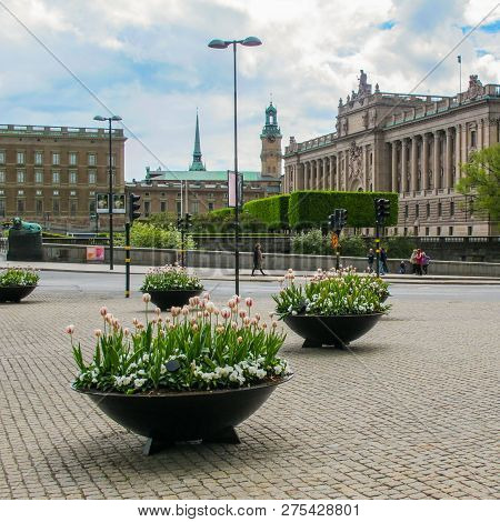 Stockholm/ Sweden -  May 16 2011: Spring Flowers In The Center Of Stockholm On The Background Of A B