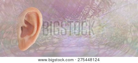 Ear Anatomy Background Banner - Cut Out Of A Single Female Side View Ear Against A Pink Sound Wave F