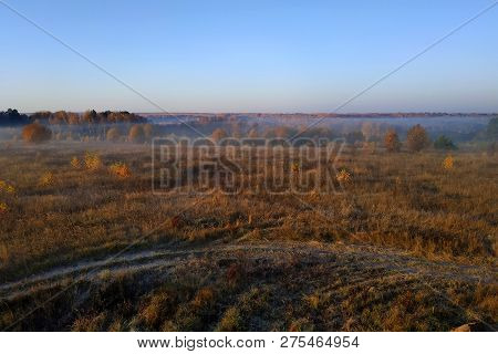 Morning Field Meeting With Fog And Sun