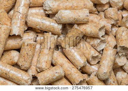 Close-up Macro Filler For Cat Pet Pet Toilet. Pressed Wood Sawdust Egology Clean, No Smell For The H