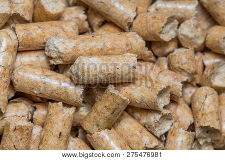 Close-up Macro Filler For Cat Pet Pet Toilet. Pressed Wood Sawdust Egology Clean, No Smell For The H