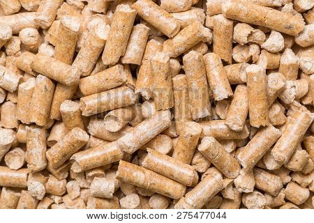 Close-up Macro Filler For Cat Pet Pet Toilet. Pressed Wood Sawdust Egology Clean, No Smell For The H
