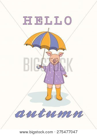 Isolated Cartoon Cute Piggy With Umbrella, Symbol Year 2019 According To Chinese Astrology And Orien