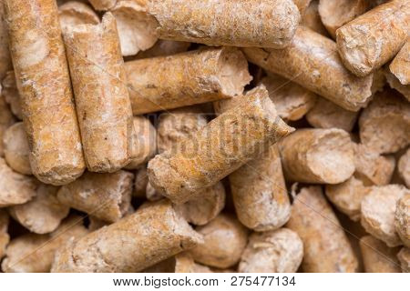 Close-up Macro Filler For Cat Pet Pet Toilet. Pressed Wood Sawdust Egology Clean, No Smell For The H