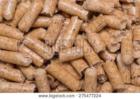 Close-up Macro Filler For Cat Pet Pet Toilet. Pressed Wood Sawdust Egology Clean, No Smell For The H