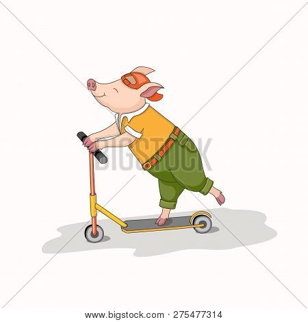 Isolated Cartoon Piggy, Symbol Year 2019 According To Chinese Astrology And Oriental Calendar Riding