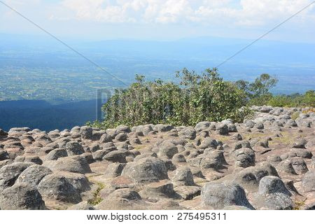 Lan Hin Pum Pum [nodule Rock Field] At Phu Hin Rong Kla National Park In Thailand