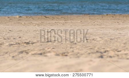 Sandstorm And Strong Wind On The Sea Beach.