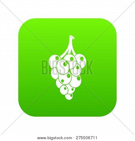 Grape Icon Green Isolated On White Background