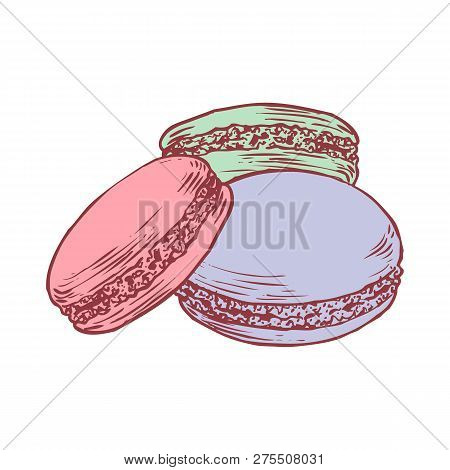 Delicious Hand Drawn French Macarons. Engraving Style Pen Pencil Painting Retro Vintage Vector Linea