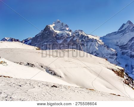 Wetterhorn 3692m Mountain Peak, Seen From Path Between First And Faulhorn, Grindelwald, Switzerland