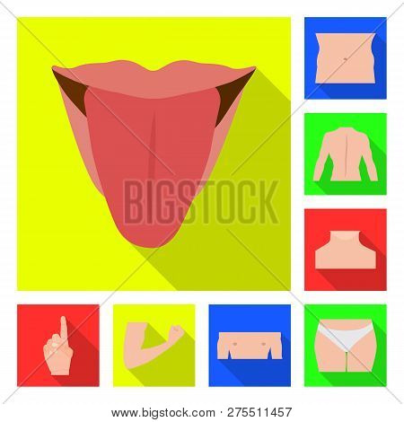 Isolated Object Of Human And Part Sign. Collection Of Human And Woman Stock Symbol For Web.