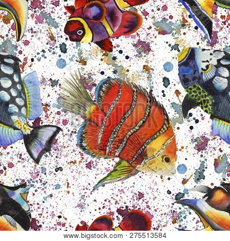 Watercolor Aquatic Underwater Colorful Tropical Fish Illustration Set. Seamless Background Pattern.