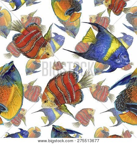Watercolor Aquatic Underwater Colorful Tropical Fish Illustration Set. Seamless Background Pattern.