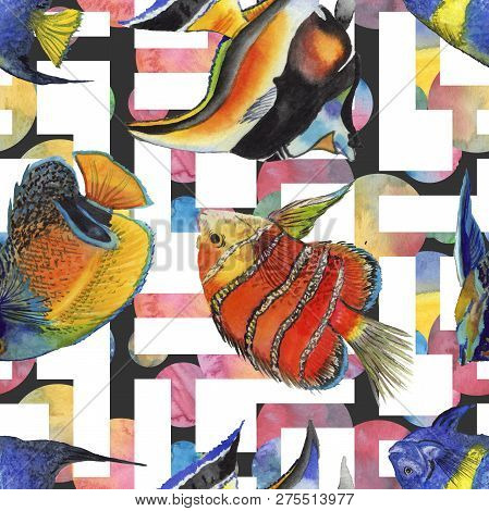 Watercolor Aquatic Underwater Colorful Tropical Fish Illustration Set. Seamless Background Pattern.