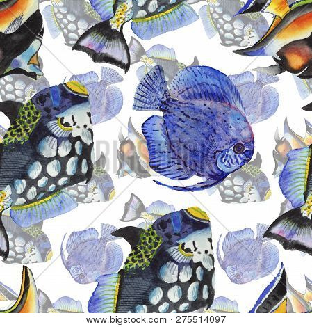 Watercolor Aquatic Underwater Colorful Tropical Fish Illustration Set. Seamless Background Pattern.