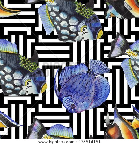 Watercolor Aquatic Underwater Colorful Tropical Fish Illustration Set. Seamless Background Pattern.