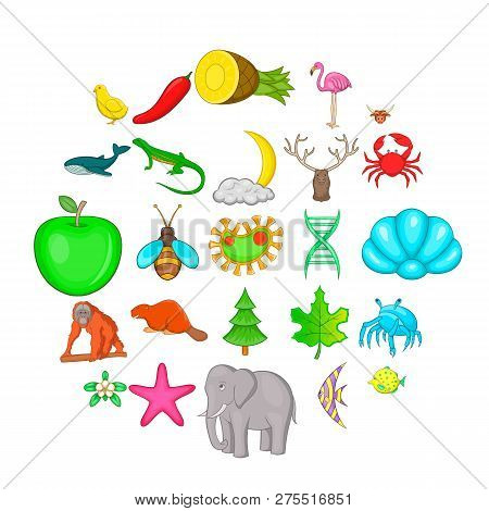 Maintain The Wildlife Icons Set. Cartoon Set Of 25 Maintain The Wildlife Icons For Web Isolated On W