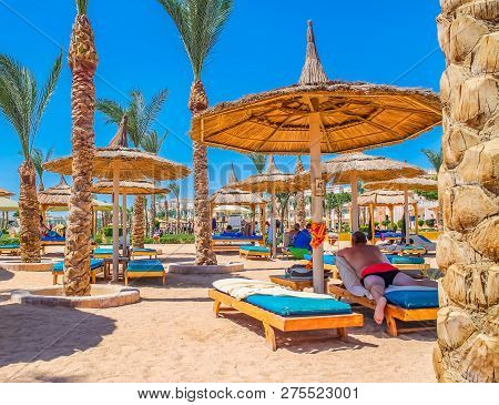 View Of The Beach And Vacationers In Loungers On The Shores Of The Red Sea Sunburn In The Sun On Vac