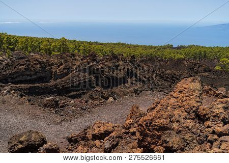 The Lava Fields Of The Teide Volcano And Thickets Of Canarian Pine. Viewpoint - Mirador De Los Poleo