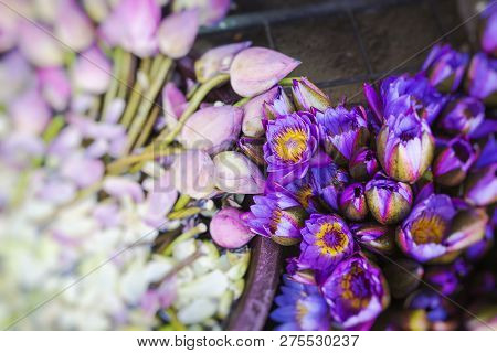 Flowers Sold To Be Used As Offerings In Front Of The Temple Of The Tooth Relic In Kandy (sri Lanka).