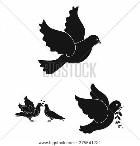 Isolated Object Of Flying And Dove Sign. Set Of Flying And Carrier Vector Icon For Stock.