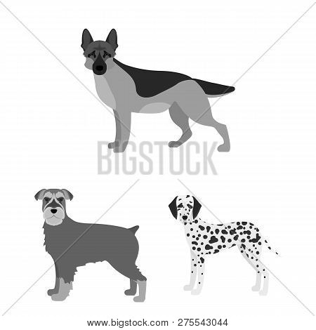 Vector Illustration Of  Cute  And  Symbol. Set Of  Cute  And  Vector Icon For Stock.