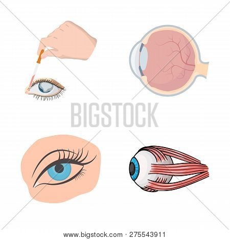 Vector Illustration Of Medical And Eyeball Icon. Set Of Medical And Optical Stock Vector Illustratio