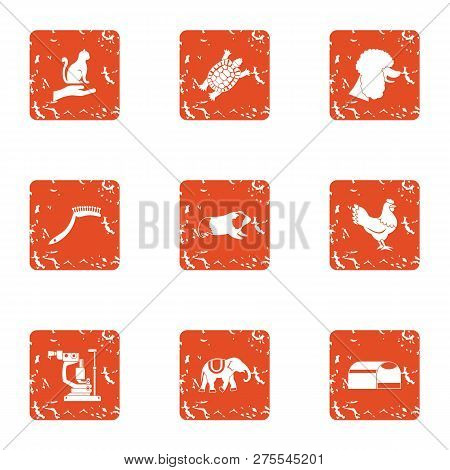 Instinctive Icons Set. Grunge Set Of 9 Instinctive Icons For Web Isolated On White Background