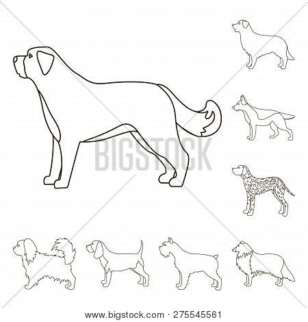Vector Design Of Cute And Puppy Sign. Set Of Cute And Animal Stock Vector Illustration.