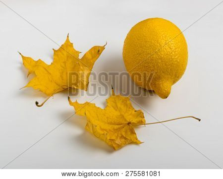 Beautiful Dry Maple Leaf And Lemon On White Wooden Background