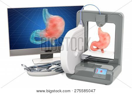 3d Printer With Human Stomach, 3d Rendering Isolated On White Background