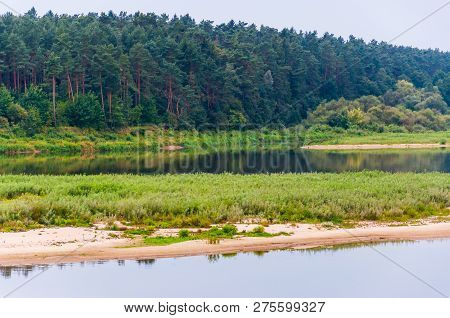 Juicy Grass, Growing Trees, Flowing River In Nemun National Park Forest