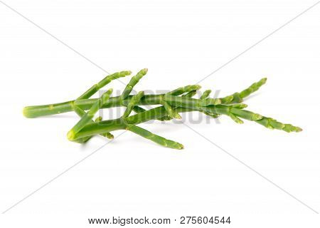 Fresh Marsh Samphire A Coastal Plant With Vibrant Green Stalks And A Crisp Salty Taste Isolated On A