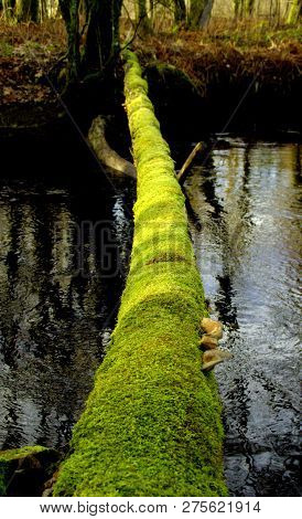 Green Path To Future. We Must Find Soft Natur Way To Reach Sustainable And Ecological Solutions. A T