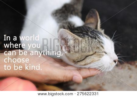 Inspirational Motivational Quote-in A World Where You Can Be Anything, Choose To Be Kind. With A Lad
