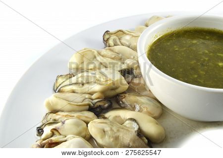 Oyster Seafood With Spicy Sauce On Plate White Background / Fresh Raw Oyster