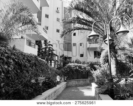 Residential Buildings And Surrounded With Green Plants In  Rishon Le Zion.
