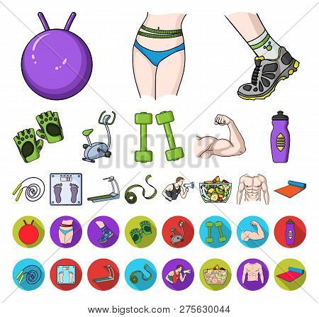Fitness And Attributes Cartoon, Flat Icons In Set Collection For Design. Fitness Equipment Vector Sy