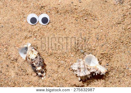 Googly Eyes Lying On The Sea Sand Looking At Sea Shell, Sand Background., Two Shells Close-up.