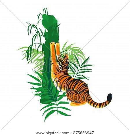 Tiger Stretching Hic Body, Yawning And Sharpening His Claws On A Tree Surrounded By Exotic Leaves.