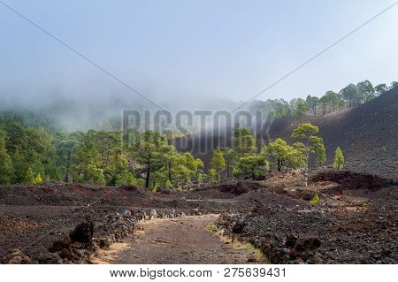 Chinyero Volcano Hiking Path. Adventure Activities At Teide National Park. Black Sand Hiking Path.
