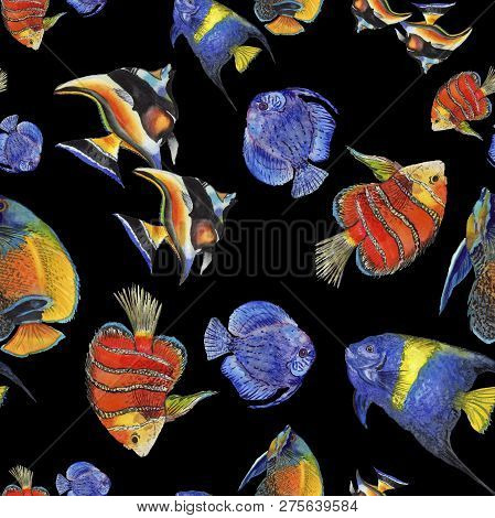 Watercolor Aquatic Underwater Colorful Tropical Fish Illustration Set. Seamless Background Pattern.